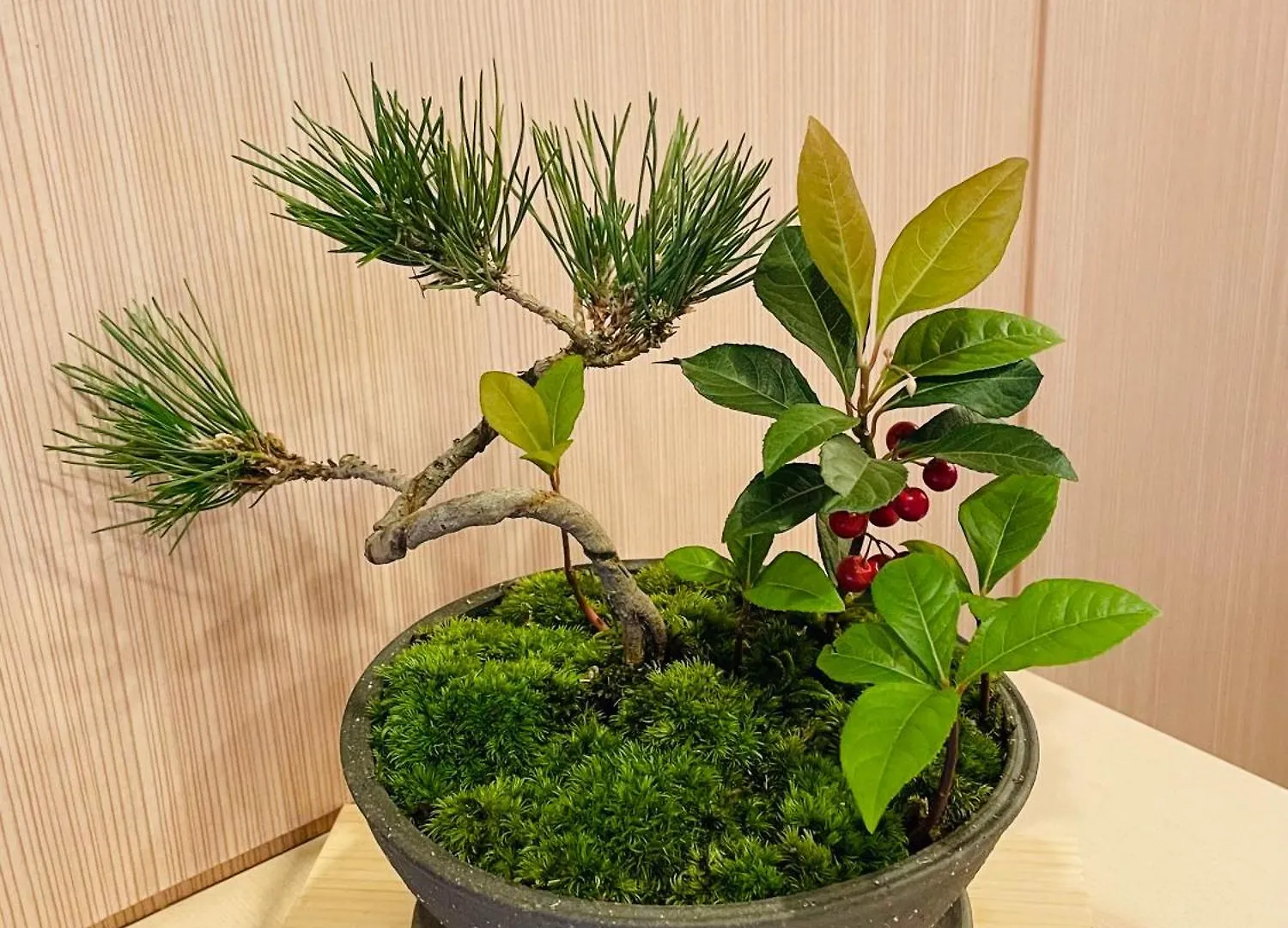 京都三条大橋 日本